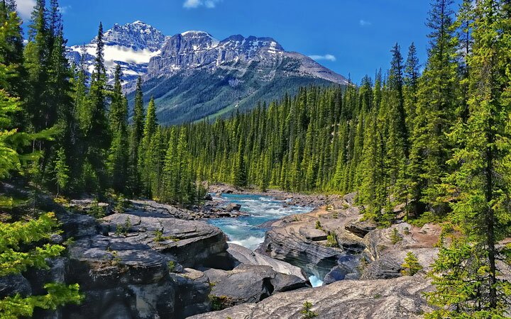alberta canada forest and river